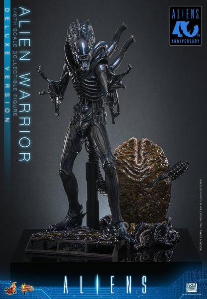 *PRE-ORDER Alien Warrior (Deluxe) - Aliens Hot Toys Collectibles 1/6 Scale Action Figure