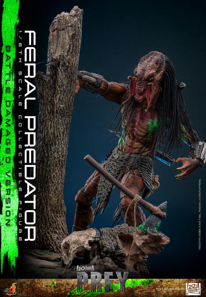 *PRE-ORDER Feral Predator (Battle Damaged) - Predator: Prey Hot Toys Collectibles 1/6 Scale Action Figure