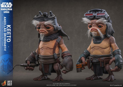 *PRE-ORDER Keeto (Life Size) - Star Wars: The Mandalorian & Grogu Hot Toys Collectibles 1/1 Scale Action Figure