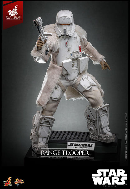 Range Trooper - Star Wars Hot Toys Collectibles 1/6 Scale Action Figure