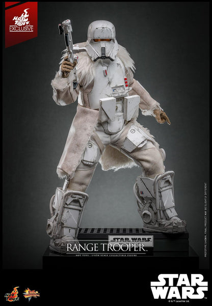 Range Trooper - Star Wars Hot Toys Collectibles 1/6 Scale Action Figure