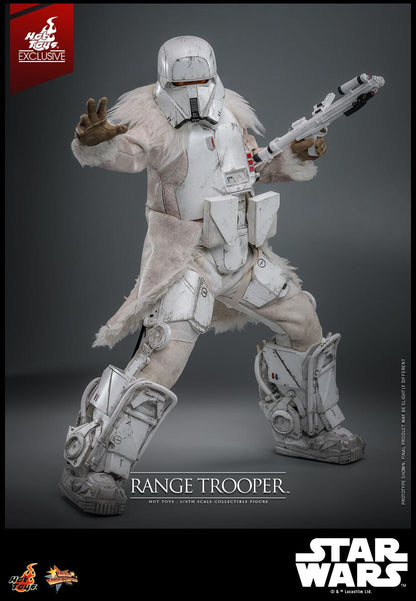 Range Trooper - Star Wars Hot Toys Collectibles 1/6 Scale Action Figure