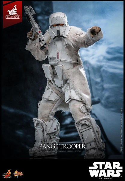 Range Trooper - Star Wars Hot Toys Collectibles 1/6 Scale Action Figure