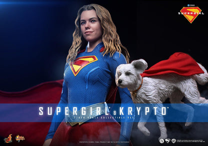 *PRE-ORDER Supergirl & Krypto - Supergirl DC Hot Toys Collectibles 1/6 Scale Action Figure