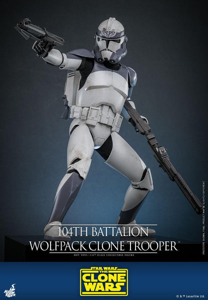 104th Battalion Wolfpack Clone Trooper - Star Wars: The Clone Wars Hot Toys Collectibles 1/6 Scale Action Figure