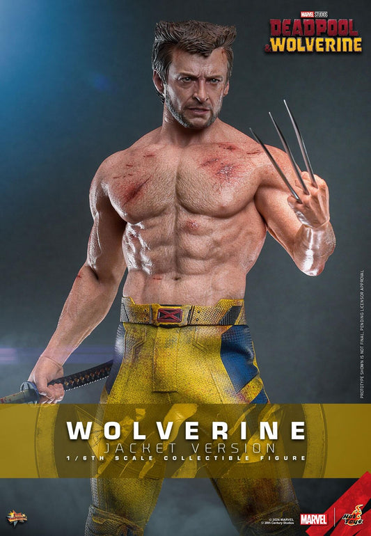 Wolverine (TVA Jacket) - Marvel Deadpool & Wolverine Hot Toys Collectibles 1/6 Scale Action Figure