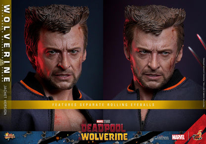 Wolverine (TVA Jacket) - Marvel Deadpool & Wolverine Hot Toys Collectibles 1/6 Scale Action Figure