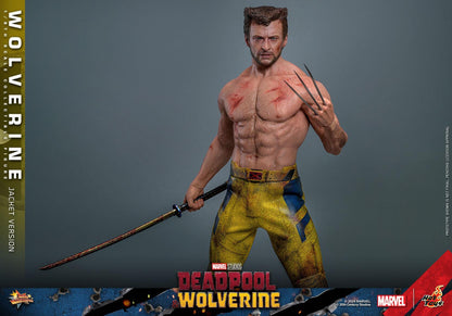 Wolverine (TVA Jacket) - Marvel Deadpool & Wolverine Hot Toys Collectibles 1/6 Scale Action Figure