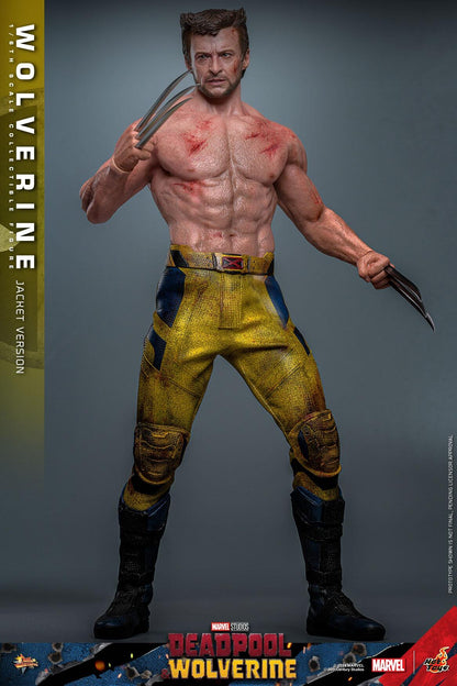 Wolverine (TVA Jacket) - Marvel Deadpool & Wolverine Hot Toys Collectibles 1/6 Scale Action Figure