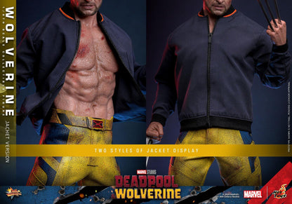 Wolverine (TVA Jacket) - Marvel Deadpool & Wolverine Hot Toys Collectibles 1/6 Scale Action Figure