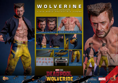 Wolverine (TVA Jacket) - Marvel Deadpool & Wolverine Hot Toys Collectibles 1/6 Scale Action Figure