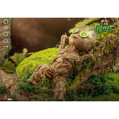 Groot - Marvel Hot Toys Collectibles 1/6 Scale Action Figure