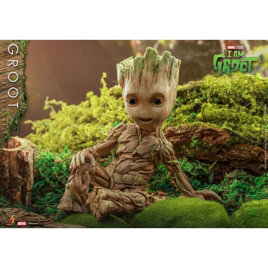 Groot - Marvel Hot Toys Collectibles 1/6 Scale Action Figure