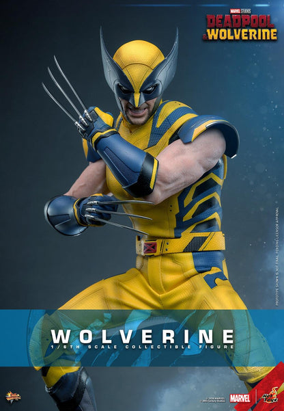 Wolverine - Marvel Deadpool & Wolverine Hot Toys Collectibles 1/6 Scale Action Figure