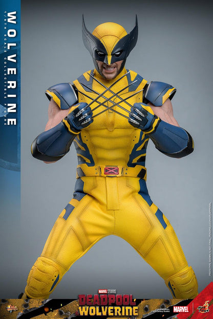 Wolverine - Marvel Deadpool & Wolverine Hot Toys Collectibles 1/6 Scale Action Figure