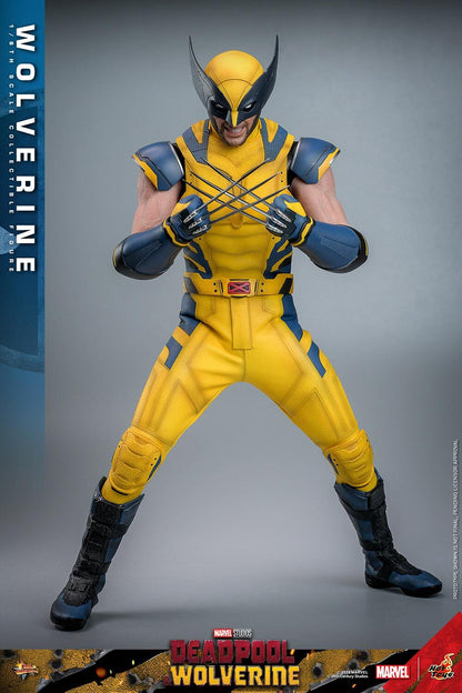Wolverine - Marvel Deadpool & Wolverine Hot Toys Collectibles 1/6 Scale Action Figure