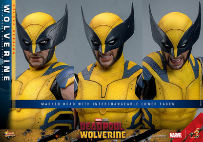Wolverine (Deluxe) - Marvel Deadpool & Wolverine Hot Toys Collectibles 1/6 Scale Action Figure