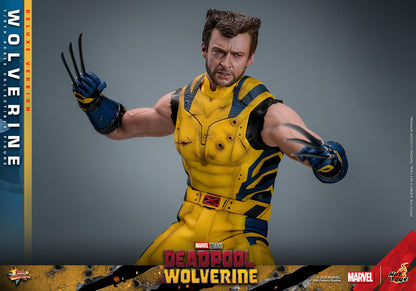 Wolverine (Deluxe) - Marvel Deadpool & Wolverine Hot Toys Collectibles 1/6 Scale Action Figure