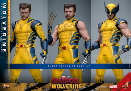 Wolverine (Deluxe) - Marvel Deadpool & Wolverine Hot Toys Collectibles 1/6 Scale Action Figure