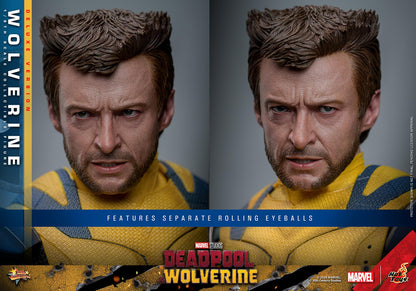 Wolverine (Deluxe) - Marvel Deadpool & Wolverine Hot Toys Collectibles 1/6 Scale Action Figure