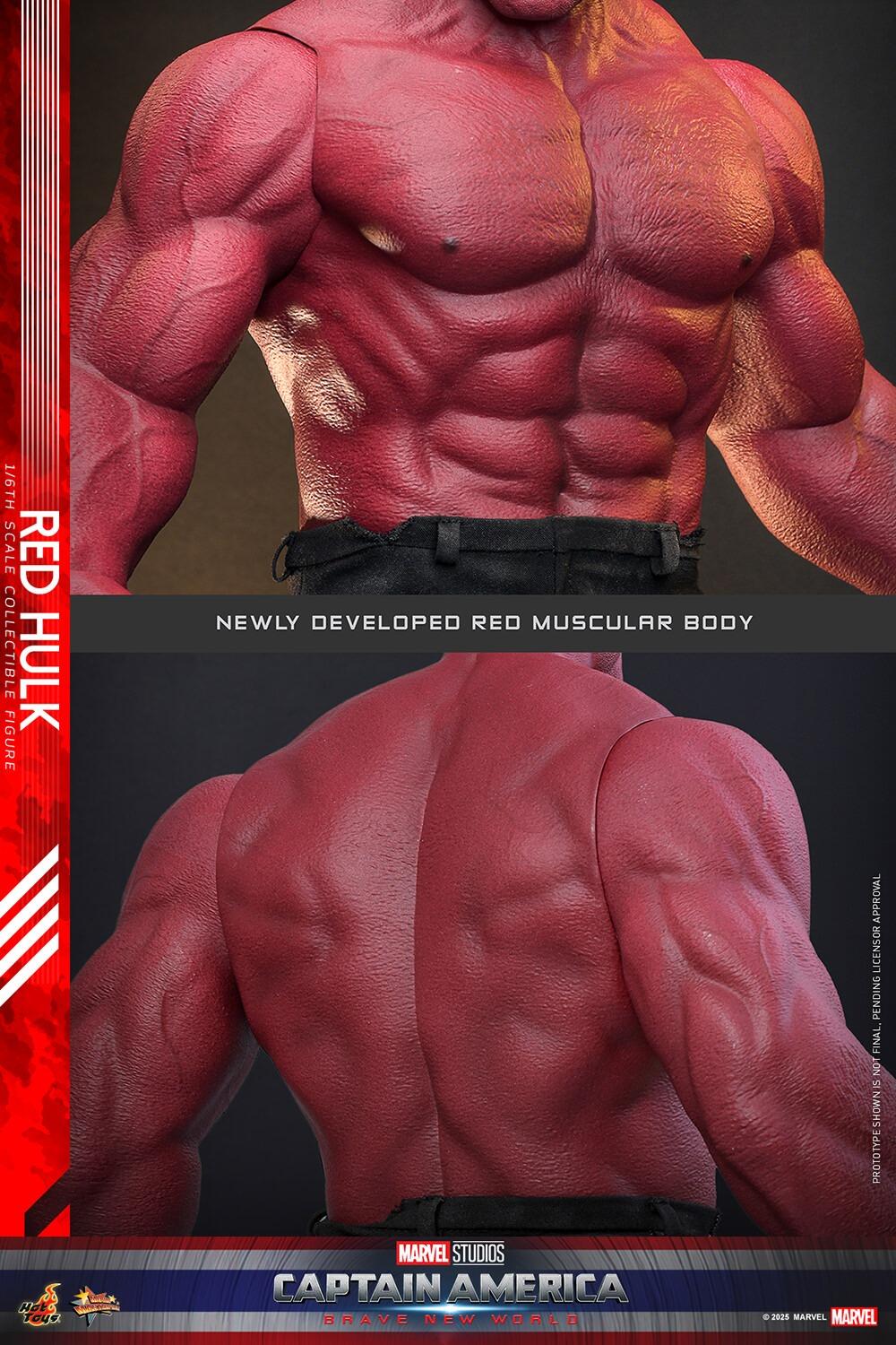 Red Hulk - Marvel Captain America: Brave New World Hot Toys Collectibles 1/6 Scale Action Figure