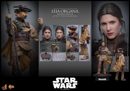 *PRE-ORDER Leia Organa (Boushh Disguise) - Star Wars: Return of the Jedi Hot Toys Collectibles 1/6 Scale Action Figure