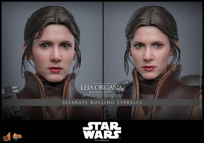 *PRE-ORDER Leia Organa (Boushh Disguise) - Star Wars: Return of the Jedi Hot Toys Collectibles 1/6 Scale Action Figure