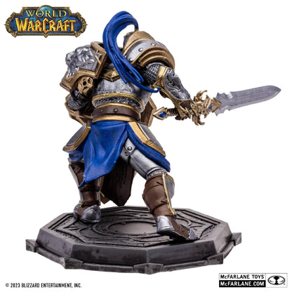 World of Warcraft 6 Inch Posed Figure Wave 1 - Human Warrior/ Paladin (Common)