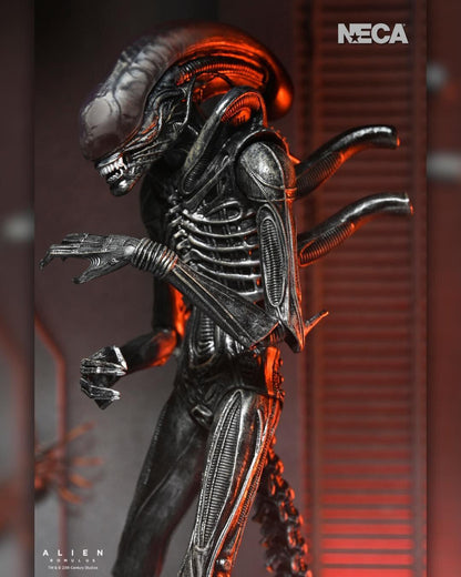 Alien: Romulus Ultimate 7 Inch Scale Action Figure - Xenomorph XX121