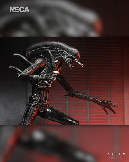 Alien: Romulus Ultimate 7 Inch Scale Action Figure - Xenomorph XX121