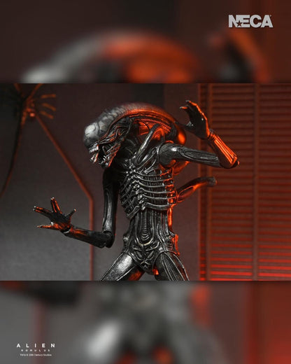 Alien: Romulus Ultimate 7 Inch Scale Action Figure - Xenomorph XX121