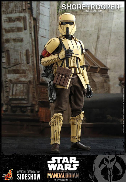 Shoretrooper (The Mandalorian) - Star Wars Hot Toys Collectibles 1/6 Scale Action Figure