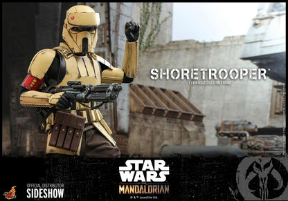 Shoretrooper (The Mandalorian) - Star Wars Hot Toys Collectibles 1/6 Scale Action Figure