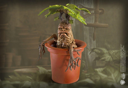 Harry Potter Magical Creatures #17 - Mandrake