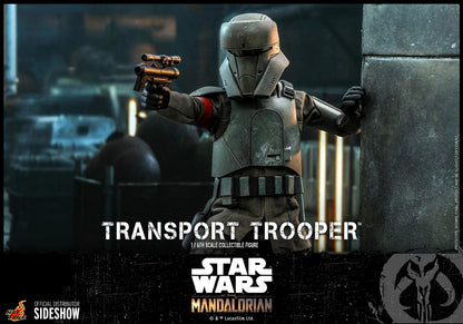 Transport Trooper - Star Wars Hot Toys Collectibles 1/6 Scale Action Figure