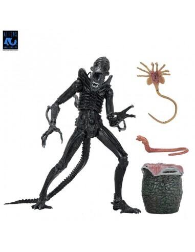 *PRE-ORDER Aliens (1986) 40th Anniversary Ultimate 7 Inch Scale Action Figure - Xenomorph Warrior (Black)